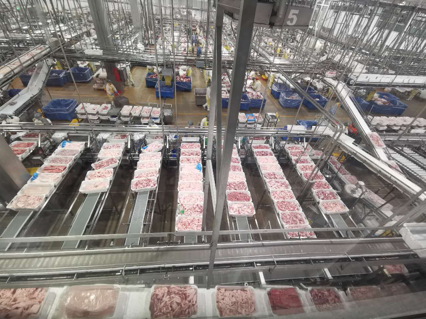 第二届进博会倒计时 这个离中国最远的国家力促对华出口猪肉