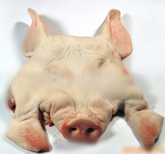 甘肃冷冻猪头批发全攻略 中国工厂网与食品饮料工厂网助力猪肉采购